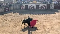 Novillada sin picadores en Deza. 