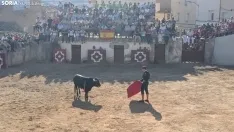 Novillada sin picadores en Deza. 