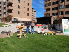 Foto 3 - Del campo a la ciudad: El Ayuntamiento de Soria presenta su nueva colección de esculturas micológicas