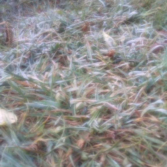 Primera helada de la temporada en Soria: Espejo de Tera -0,4ºC