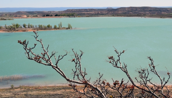 El agua en el embalse de Monteagudo roza el 85% de su capacidad 