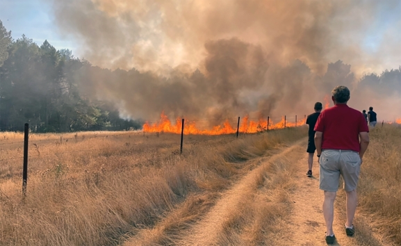 La Junta aprueba 6M€ para reindustrialización y ayudas por incendios