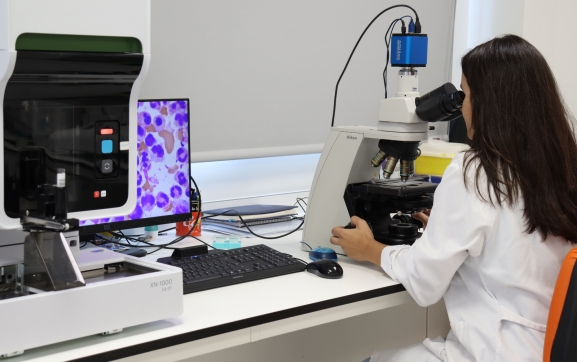 La Junta contrata a 107 jóvenes investigadores para las universidades de Castilla y León