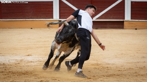 Galería | Agilidad, técnica y valor se dan cita durante los recortes en la plaza de toros de Soria