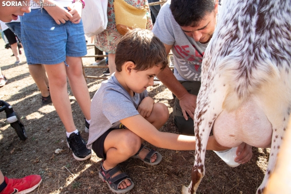 La XXIV Feria Ganadera llega a Vinuesa con un sinfín de actividades: talleres de ordeño, exhibiciones de corte de troncos y mucho más