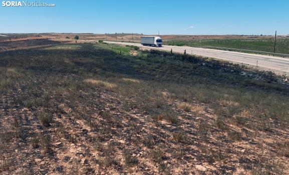 Ayudas para vallados ganaderos en Soria: abierto el plazo