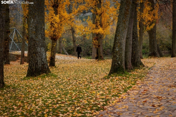 10 rincones de Soria para fotografiar el otoño