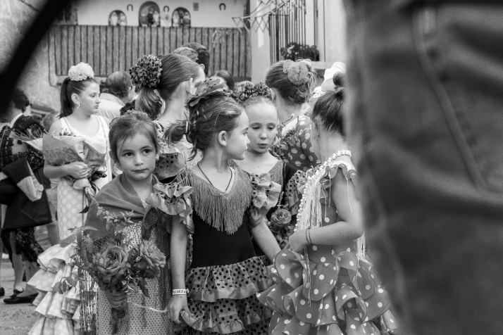 La novillada sin picadores de Deza en imágenes. Viksar Fotografía.