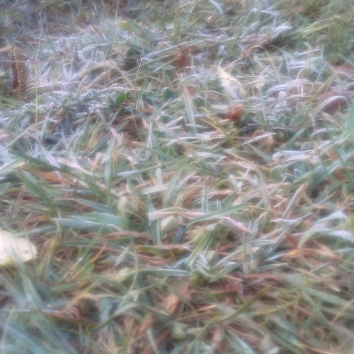 Primera helada de la temporada en Soria: Espejo de Tera -0,4&ordm;C