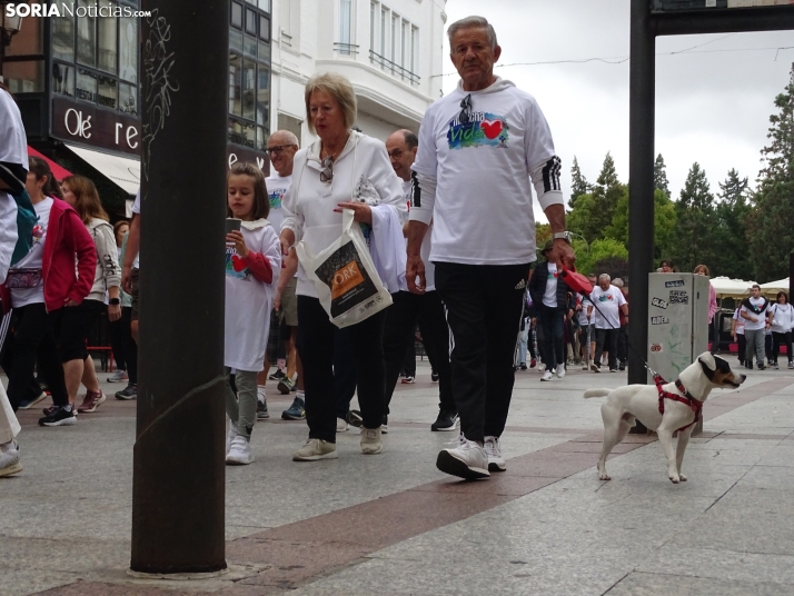 Una imagen del arranque de la marcha. /PC