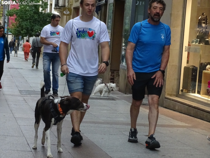 Una imagen del arranque de la marcha. /PC