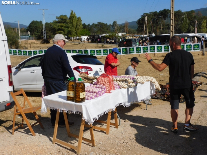 Feria Ganadera de Vinuesa.