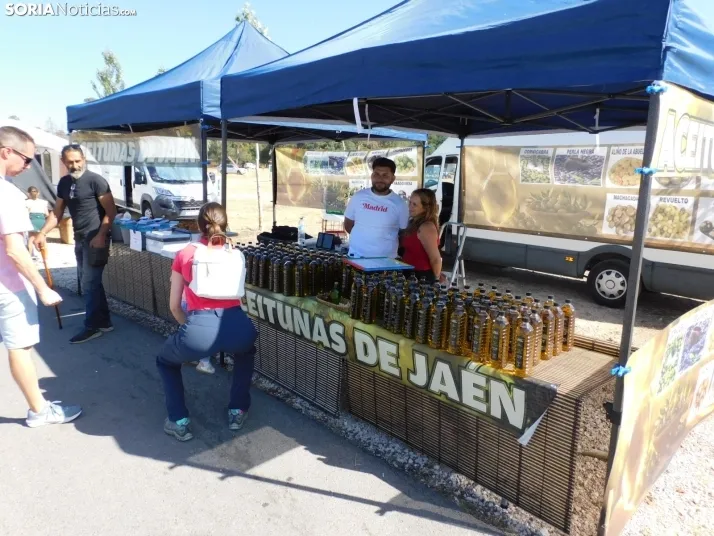 Feria Ganadera de Vinuesa.