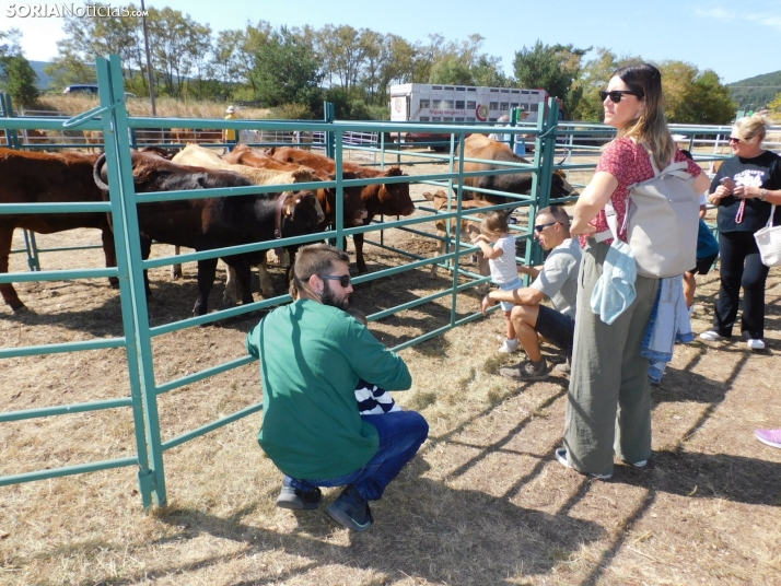 Feria Ganadera de Vinuesa.