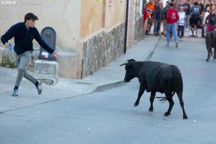 Encierro de Arcos 2025