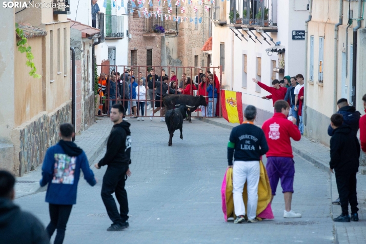 Encierro de Arcos 2025