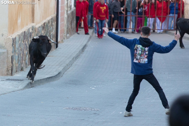 Encierro de Arcos 2025