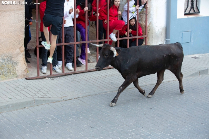 Encierro de Arcos 2025
