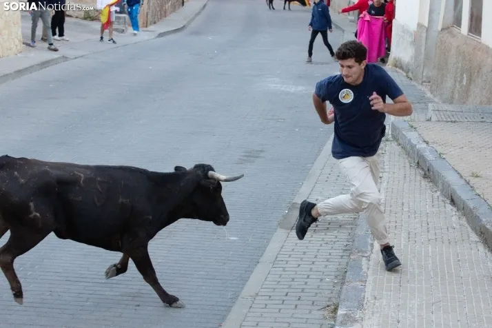 Encierro de Arcos 2025