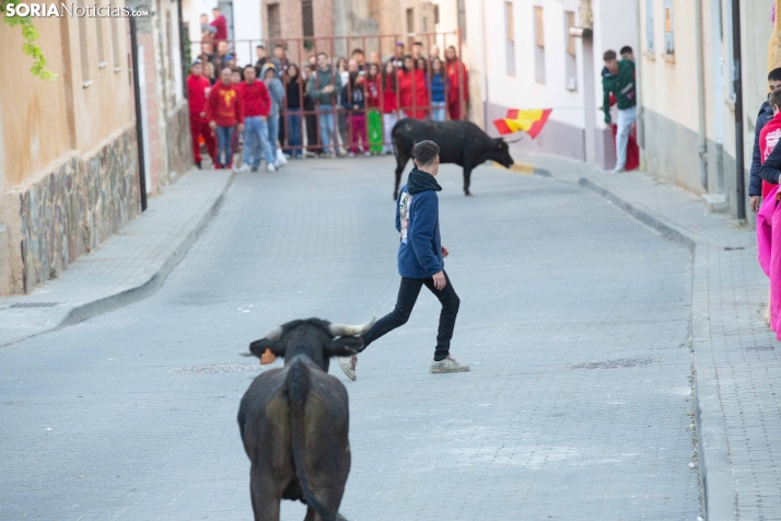 Encierro de Arcos 2025