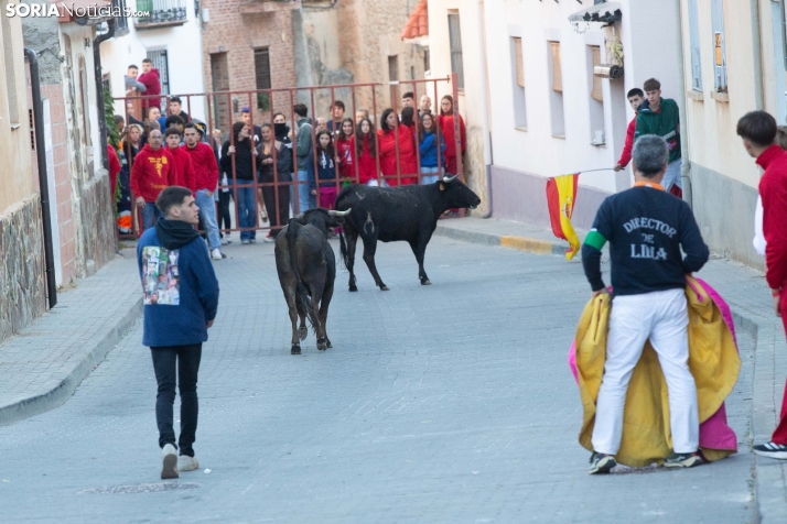 Encierro de Arcos 2025
