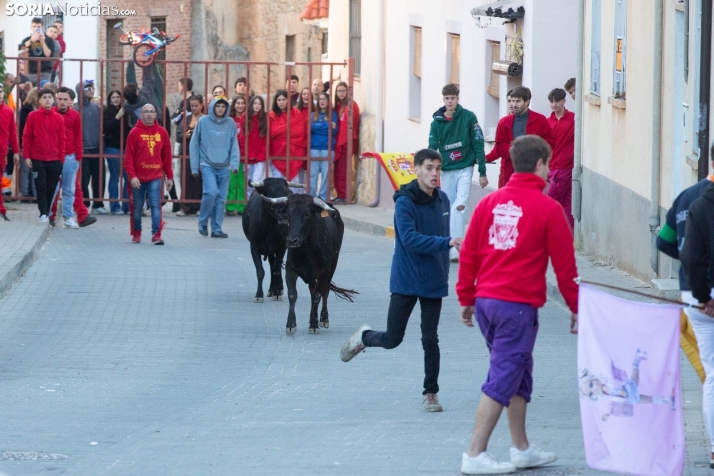Encierro de Arcos 2025