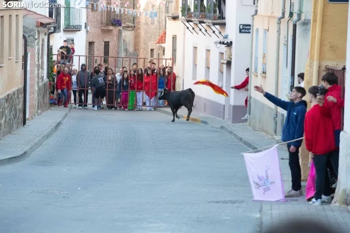 Encierro de Arcos 2025