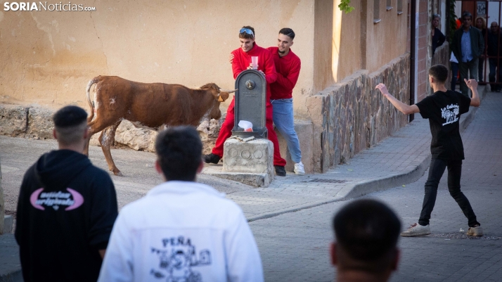 Encierro de Arcos 2025