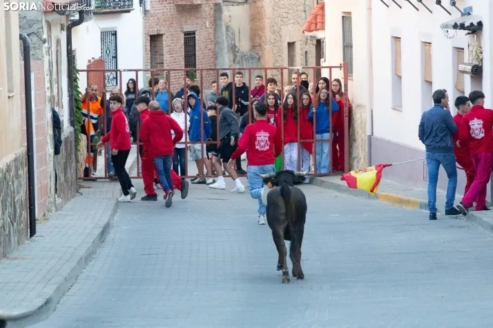 Encierro de Arcos 2025