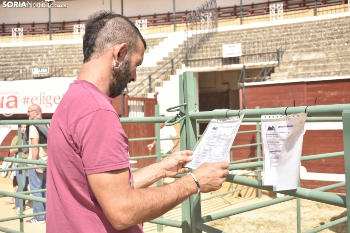 Buen ambiente en la Feria Ganadera de Soria. 