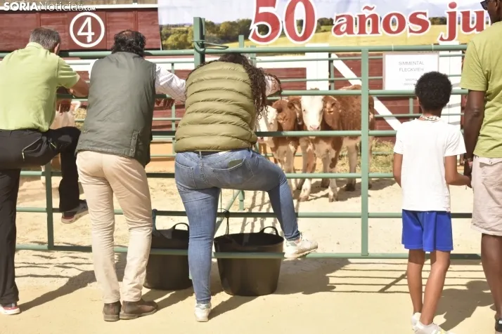 Buen ambiente en la Feria Ganadera de Soria. 