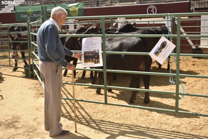 Buen ambiente en la Feria Ganadera de Soria. 