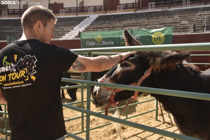 Buen ambiente en la Feria Ganadera de Soria. 