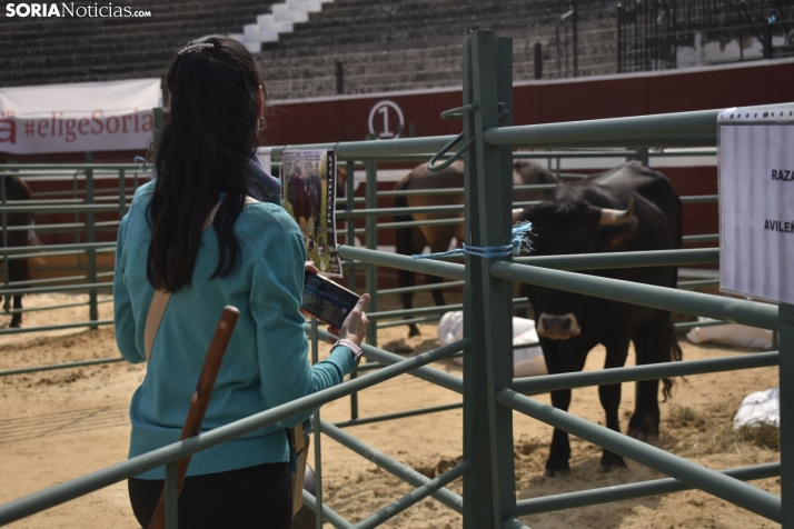 Buen ambiente en la Feria Ganadera de Soria. 