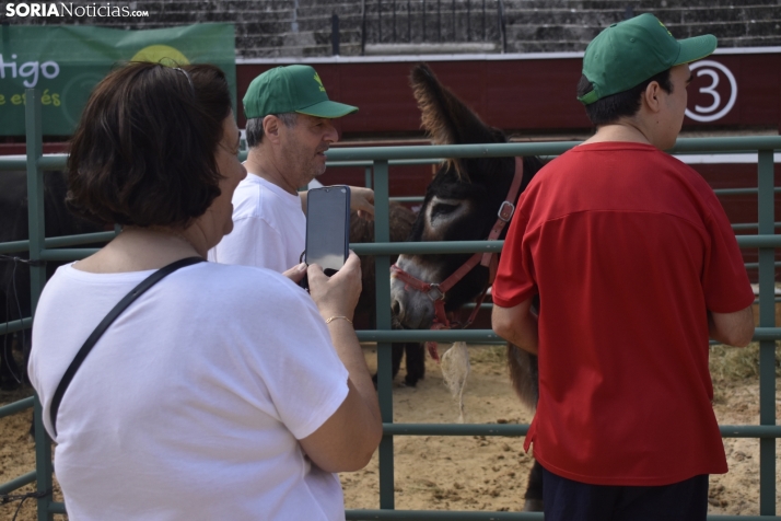 Buen ambiente en la Feria Ganadera de Soria. 