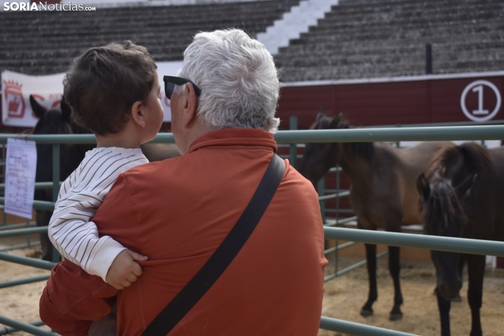 Buen ambiente en la Feria Ganadera de Soria. 
