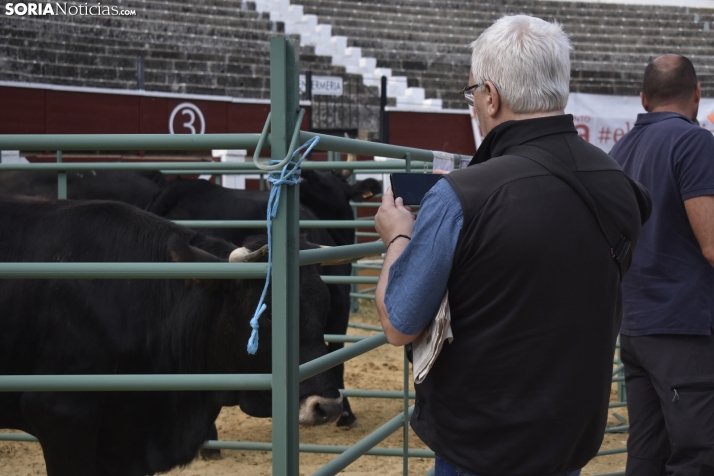 Buen ambiente en la Feria Ganadera de Soria. 