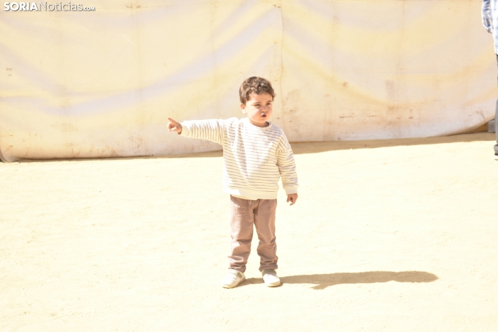 Buen ambiente en la Feria Ganadera de Soria. 