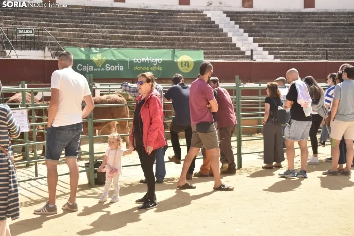 Buen ambiente en la Feria Ganadera de Soria. 