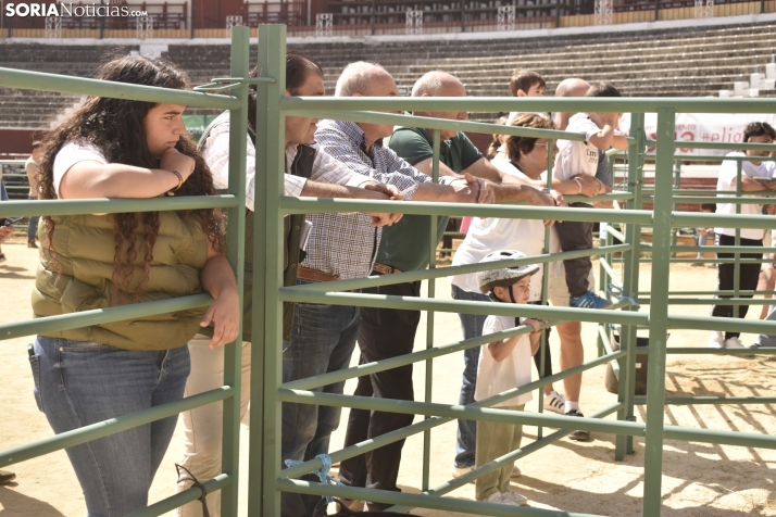 Buen ambiente en la Feria Ganadera de Soria. 