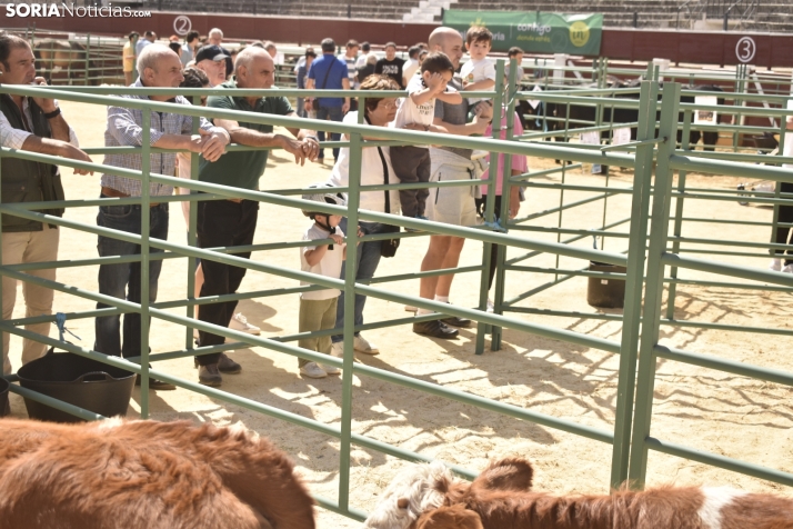 Buen ambiente en la Feria Ganadera de Soria. 