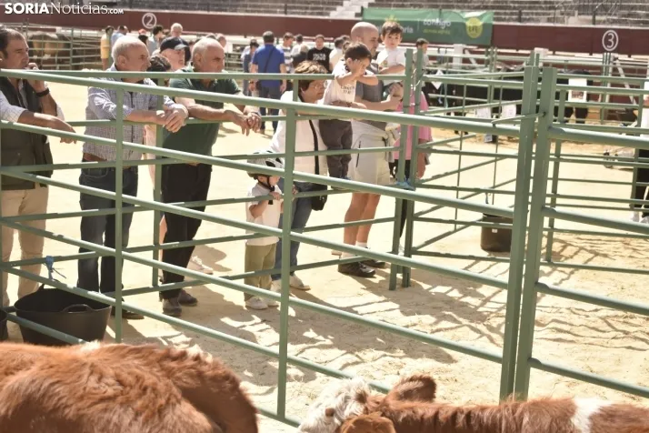 Buen ambiente en la Feria Ganadera de Soria. 
