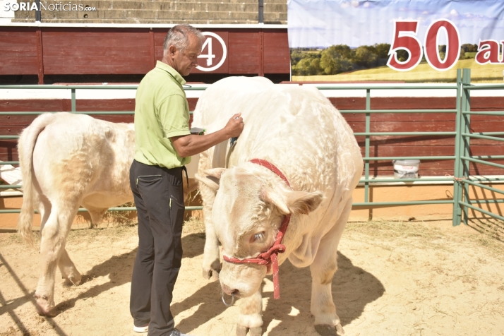 Buen ambiente en la Feria Ganadera de Soria. 