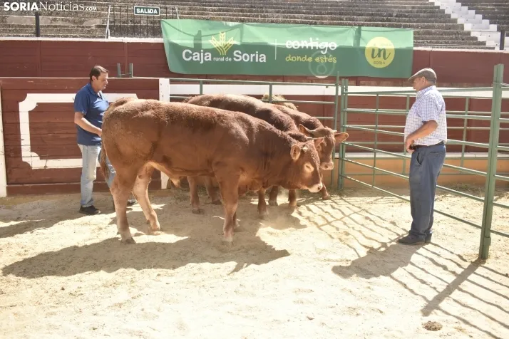 Buen ambiente en la Feria Ganadera de Soria. 