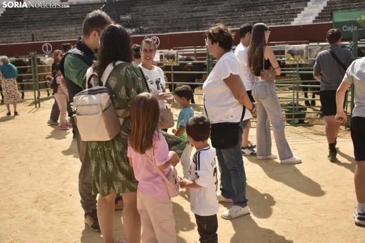 Buen ambiente en la Feria Ganadera de Soria. 
