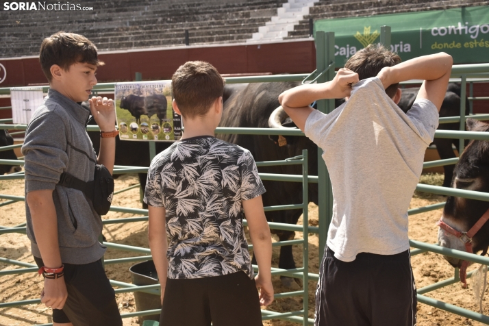 Buen ambiente en la Feria Ganadera de Soria. 