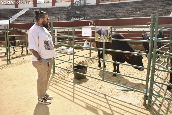 Buen ambiente en la Feria Ganadera de Soria. 