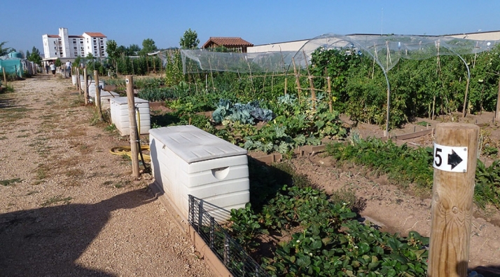 Soria licita la creación de huertos urbanos ecológicos por más de 286.000 euros