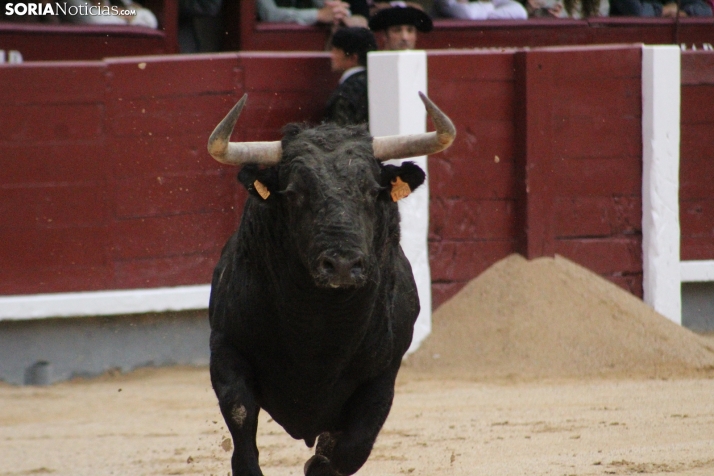 Las Ventas hoy con Rubén Sanz. Santos Gómez