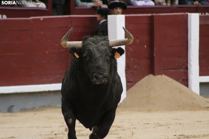 Las Ventas hoy con Rubén Sanz. Santos Gómez